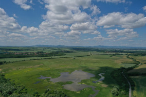 SO 01_zazemnené ramená r. Žitavy pred opatreniami